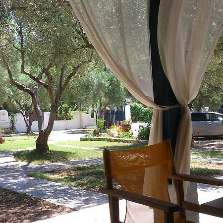 Olive House Daire Elia Nikitis Dış mekan fotoğraf