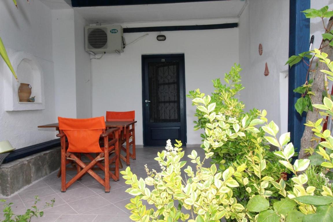 Olive House Daire Elia Nikitis Dış mekan fotoğraf