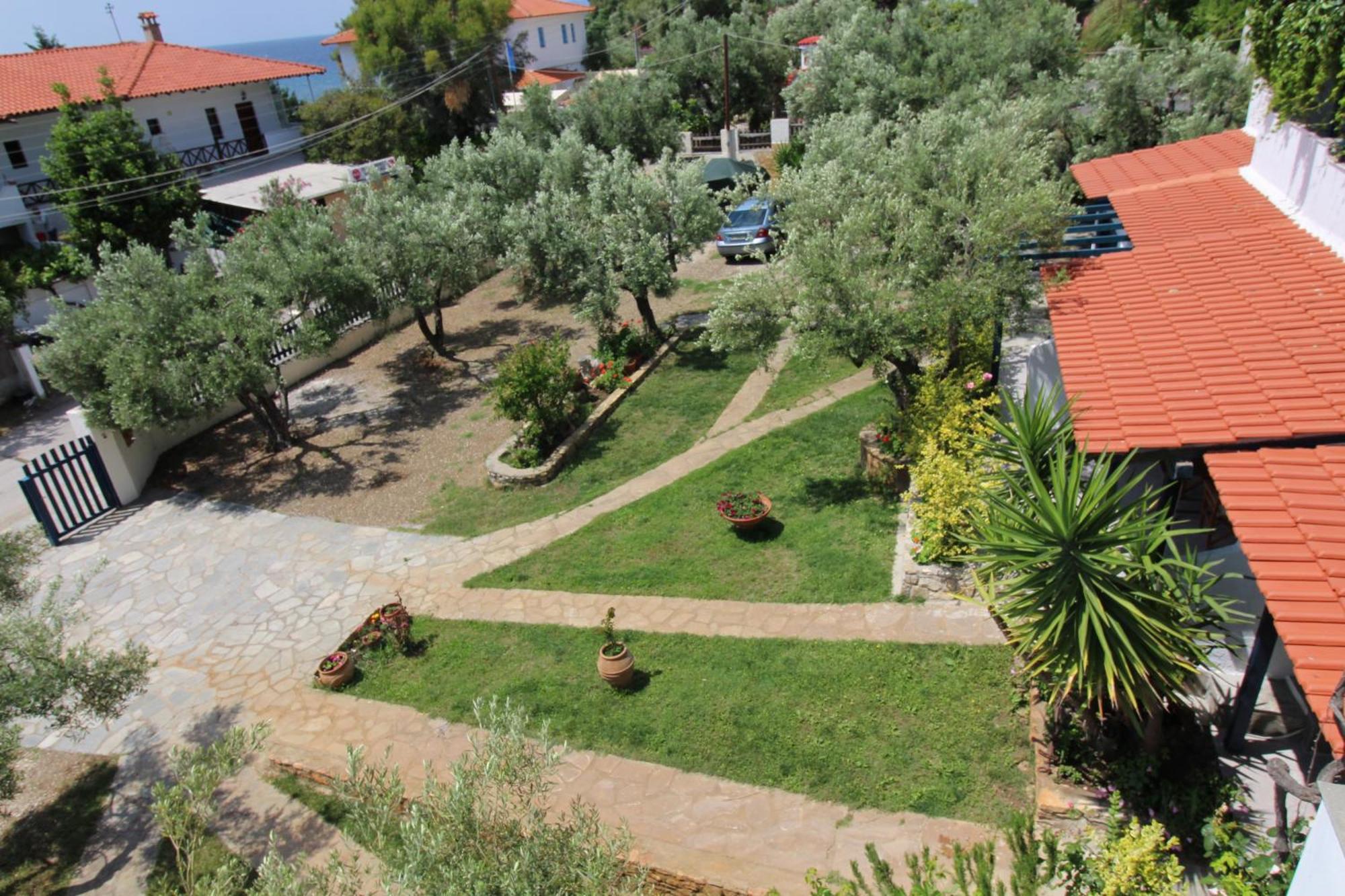 Olive House Daire Elia Nikitis Dış mekan fotoğraf