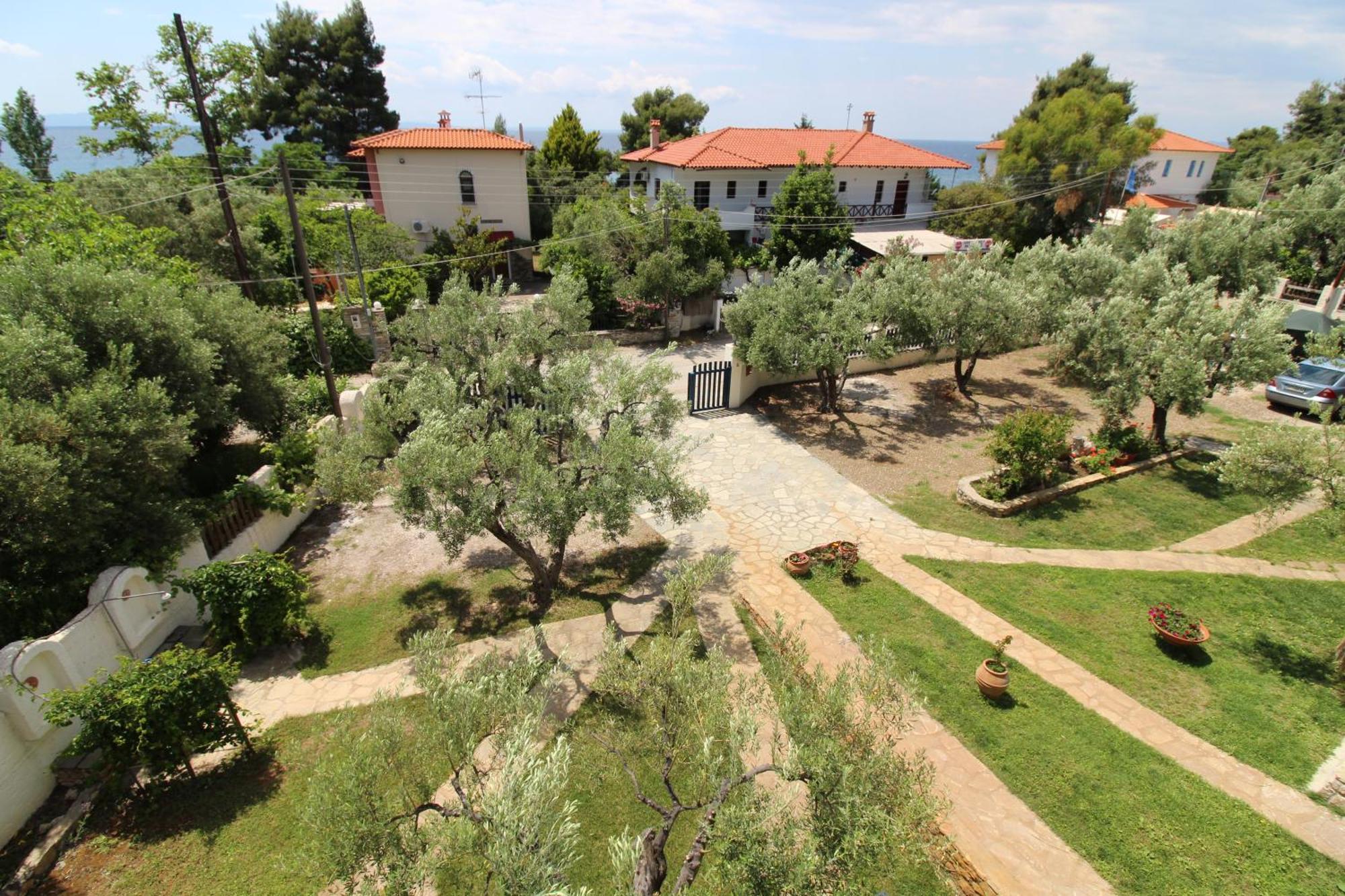 Olive House Daire Elia Nikitis Dış mekan fotoğraf