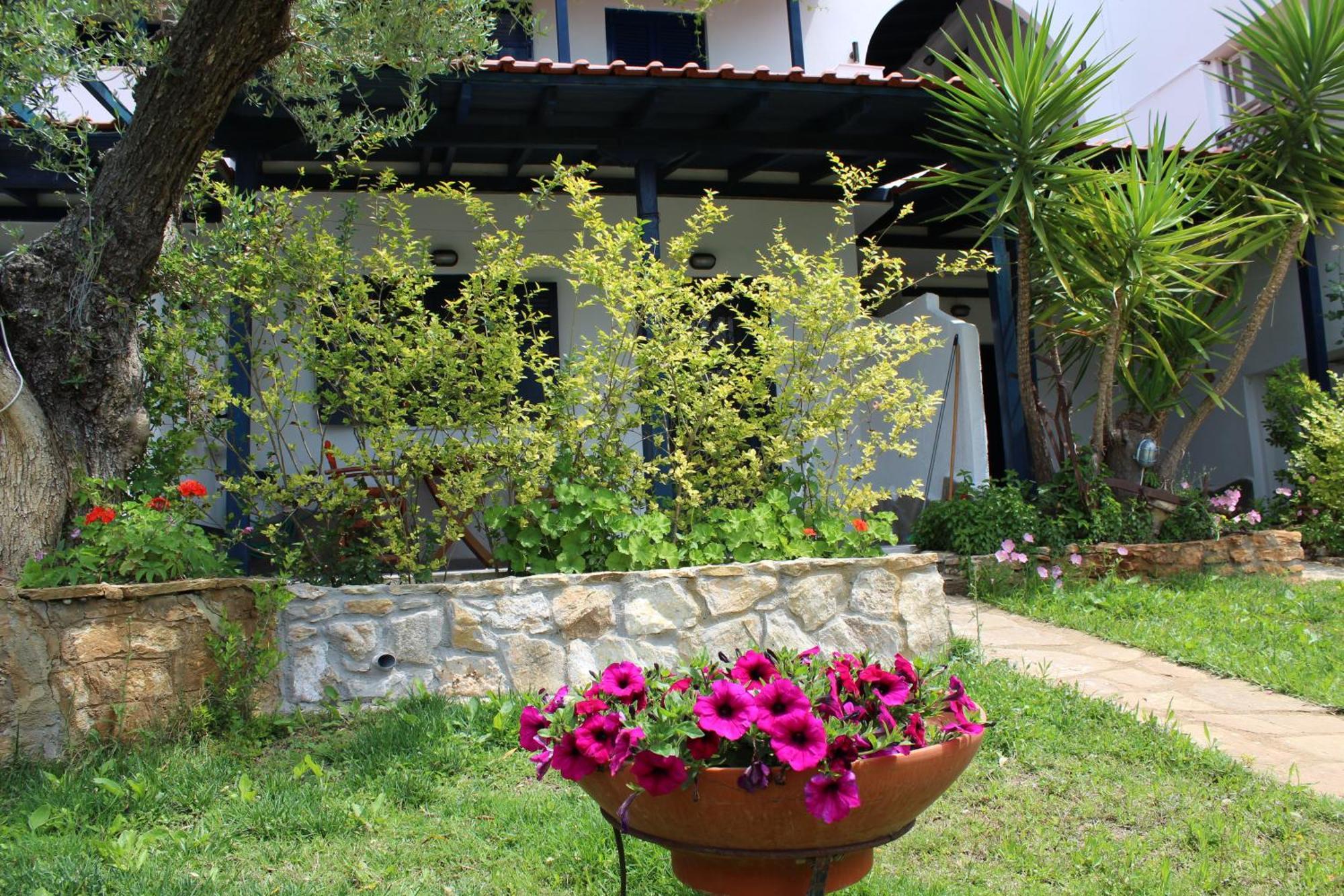 Olive House Daire Elia Nikitis Dış mekan fotoğraf