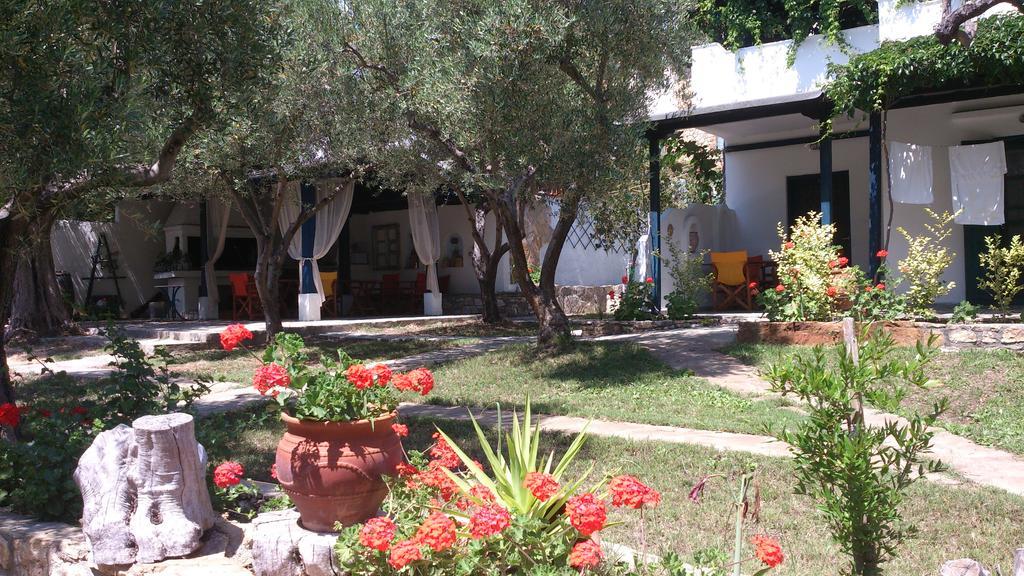 Olive House Daire Elia Nikitis Dış mekan fotoğraf