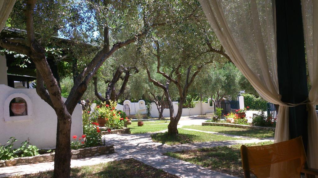Olive House Daire Elia Nikitis Dış mekan fotoğraf