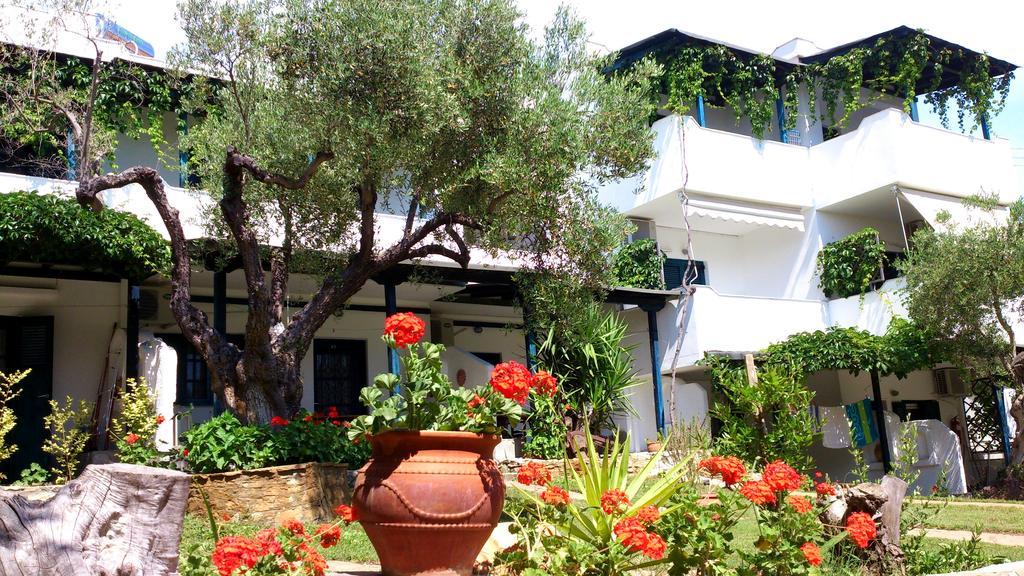 Olive House Daire Elia Nikitis Dış mekan fotoğraf
