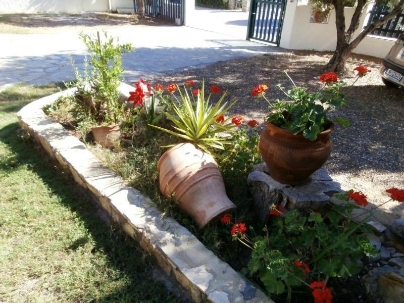 Olive House Daire Elia Nikitis Dış mekan fotoğraf