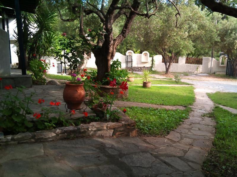 Olive House Daire Elia Nikitis Dış mekan fotoğraf